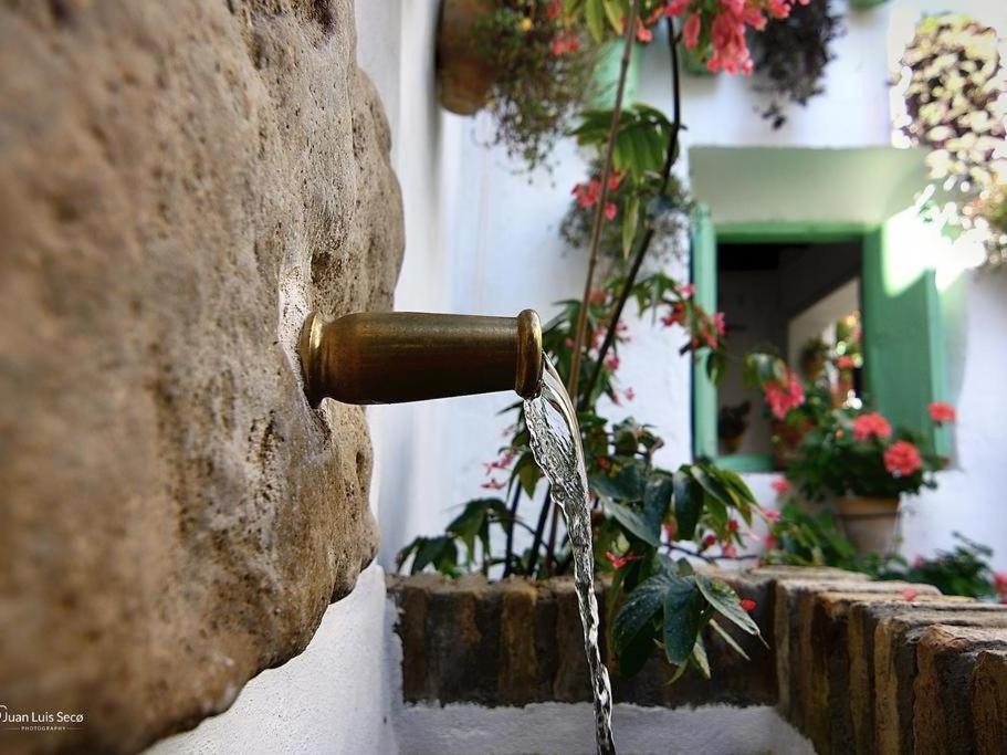 شقة La Casa De La Costurera قرطبة المظهر الخارجي الصورة